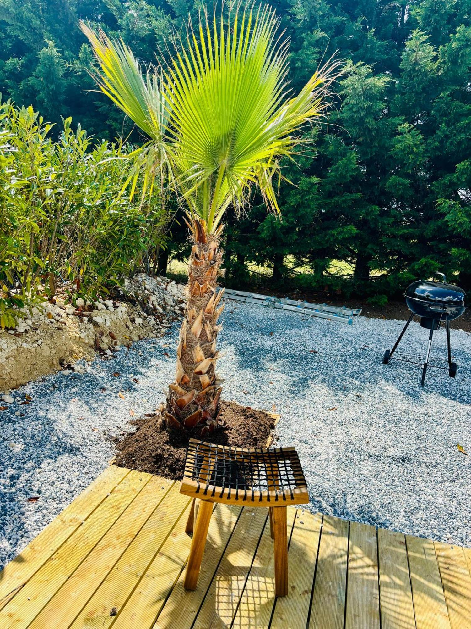 Evasion Secrete Villa Bretteville-sur-Odon Luaran gambar